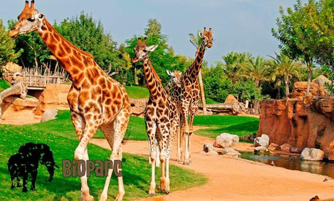 Bioparc Metro Valencia 아파트 외부 사진