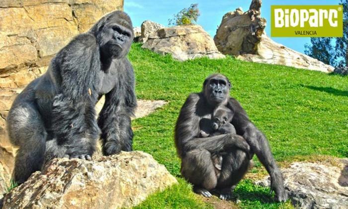 Bioparc Metro Valencia 아파트 외부 사진