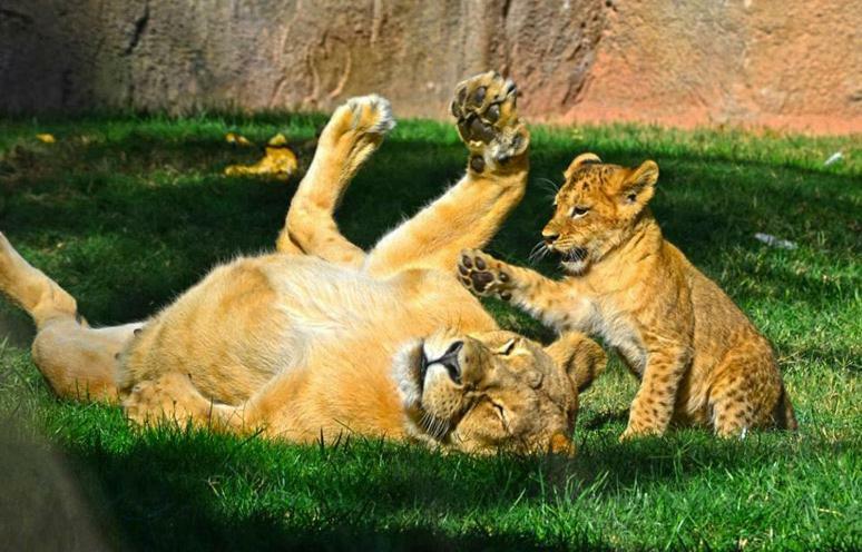 Bioparc Metro Valencia 아파트 외부 사진